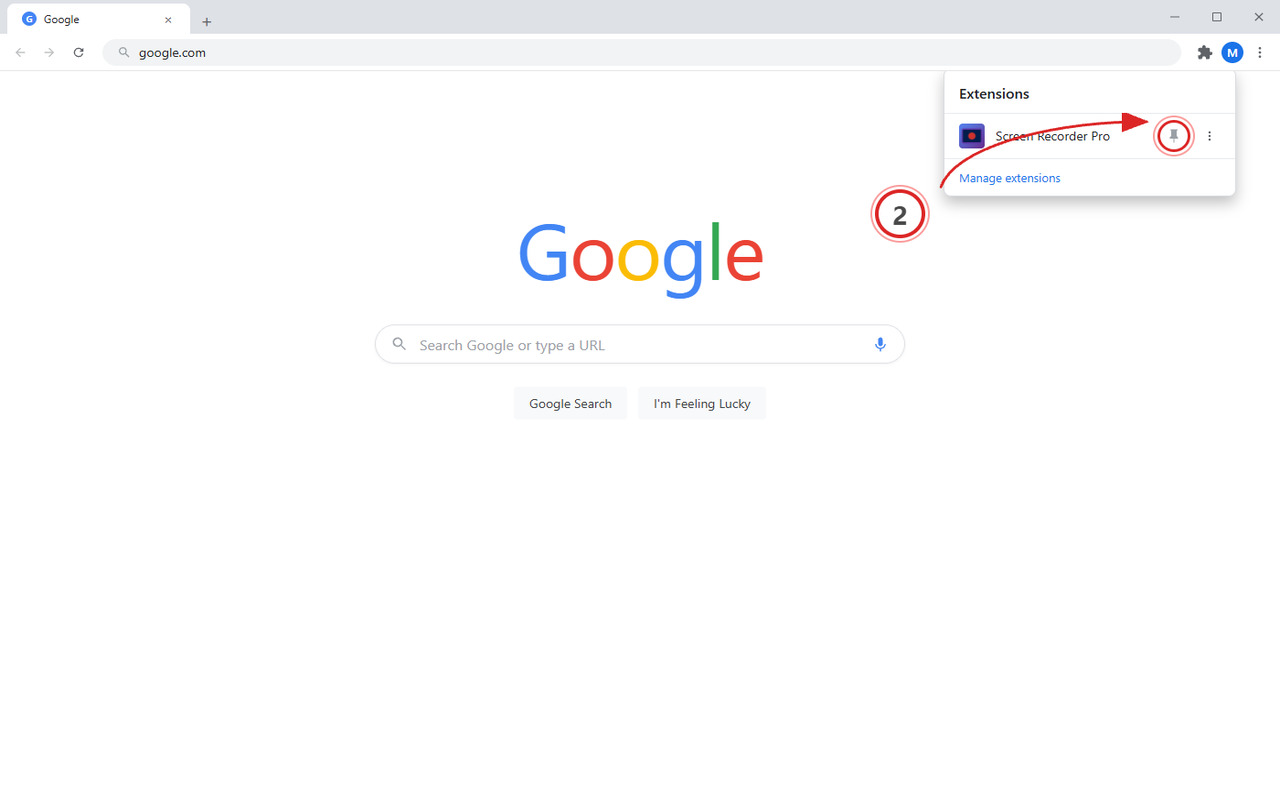 Pin Screen Recorder Pro